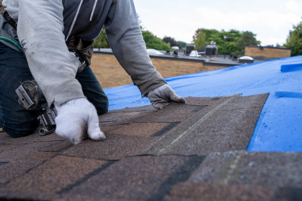 Quick and Trustworthy Emergency Roof Repair Services in Bealeton, VA