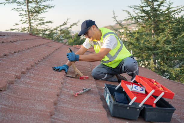 Best Storm Damage Roof Repair  in Bealeton, VA